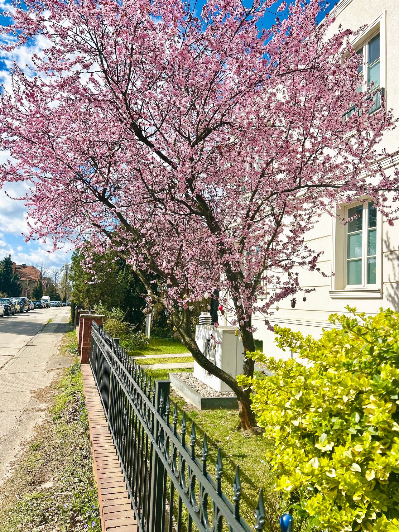 Haus Ewaldstraße in Berlin