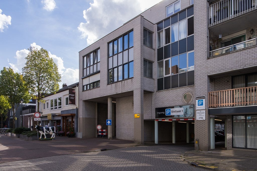 Appartement Antonlaan 120 A in Zeist