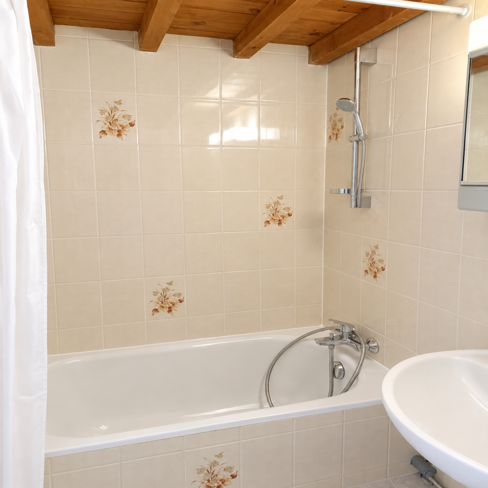 Flat Rue Roux-Soignat in Lyon