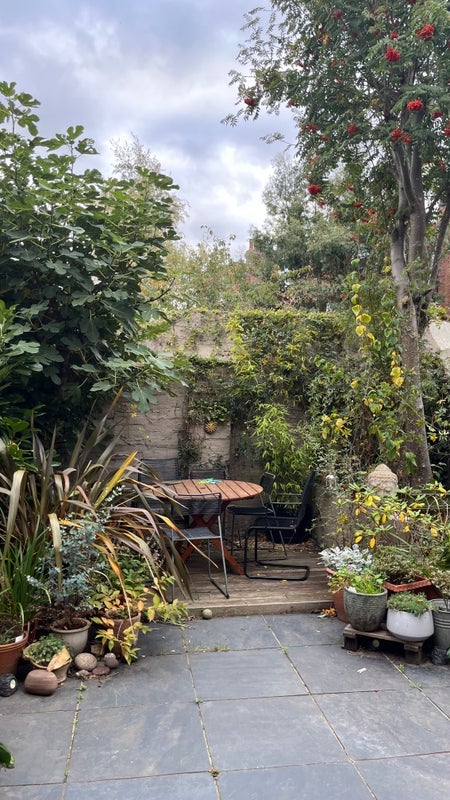 Room Harvey Road in Greater London