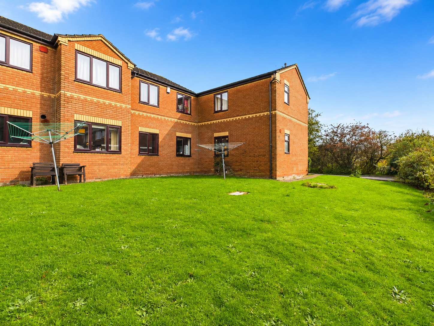 Flat Sycamore in Tamworth