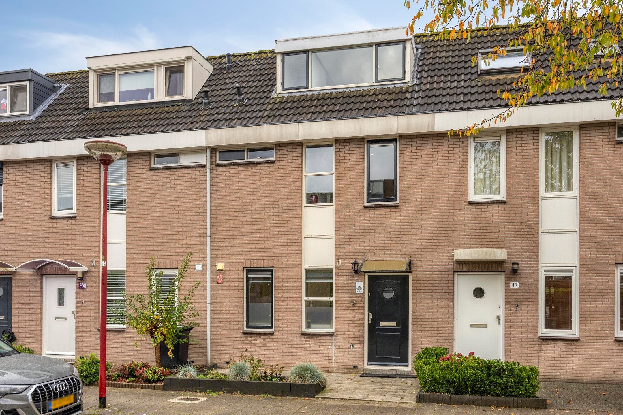 Karnweide in Nieuwegein