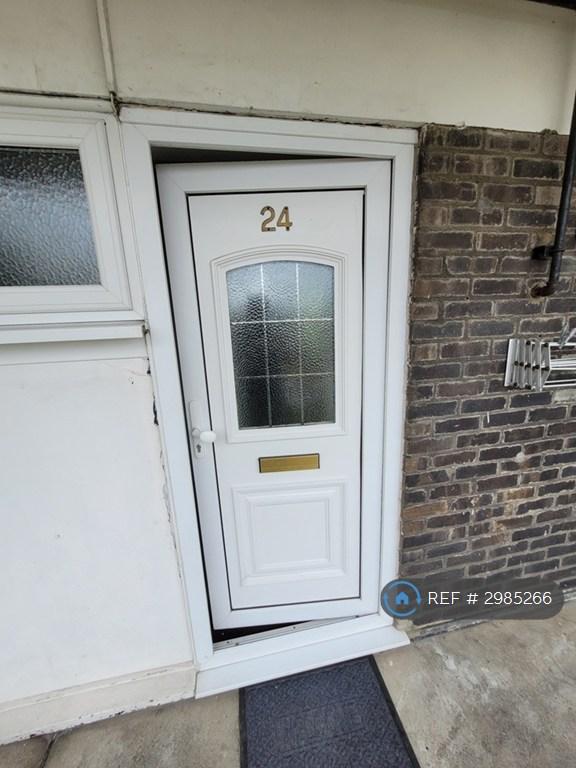 Flat Thistledown in Basildon