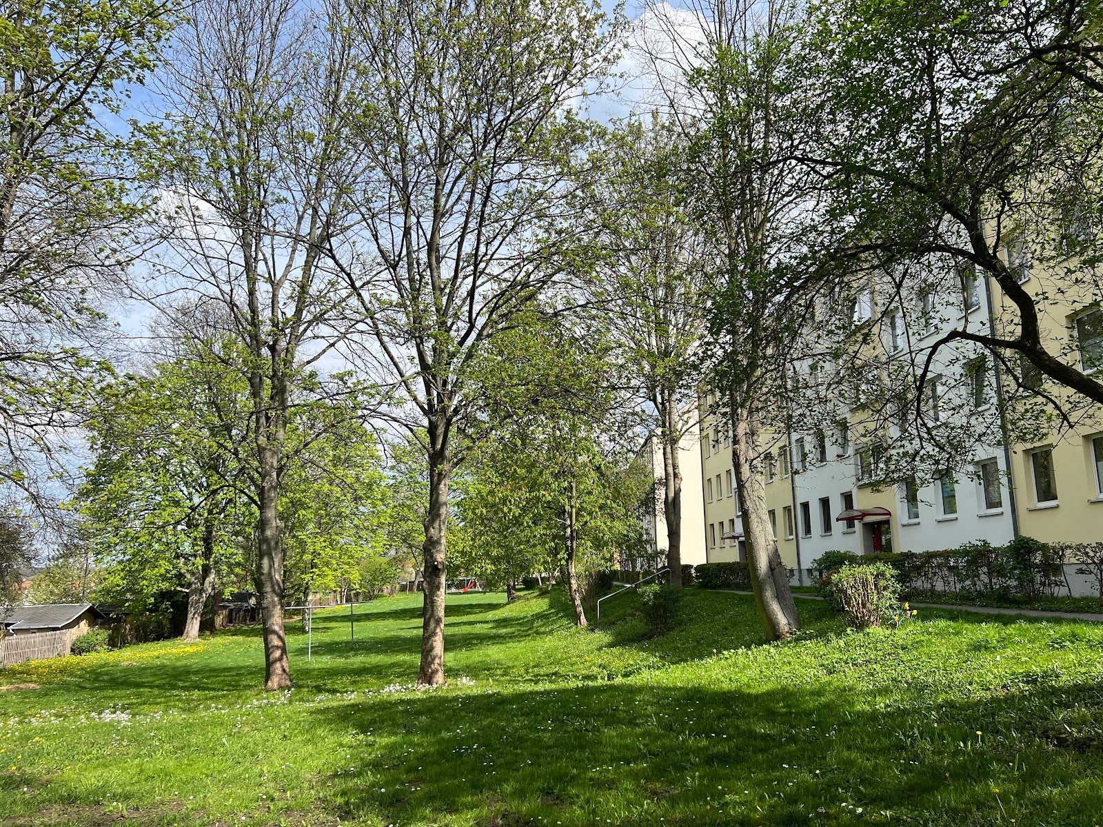 Wohnung Carl-von-Ossietzky-Straße in Chemnitz