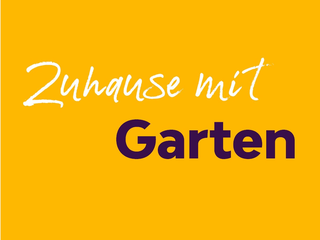 Wohnung Pöhlauer Straße in Zwickau
