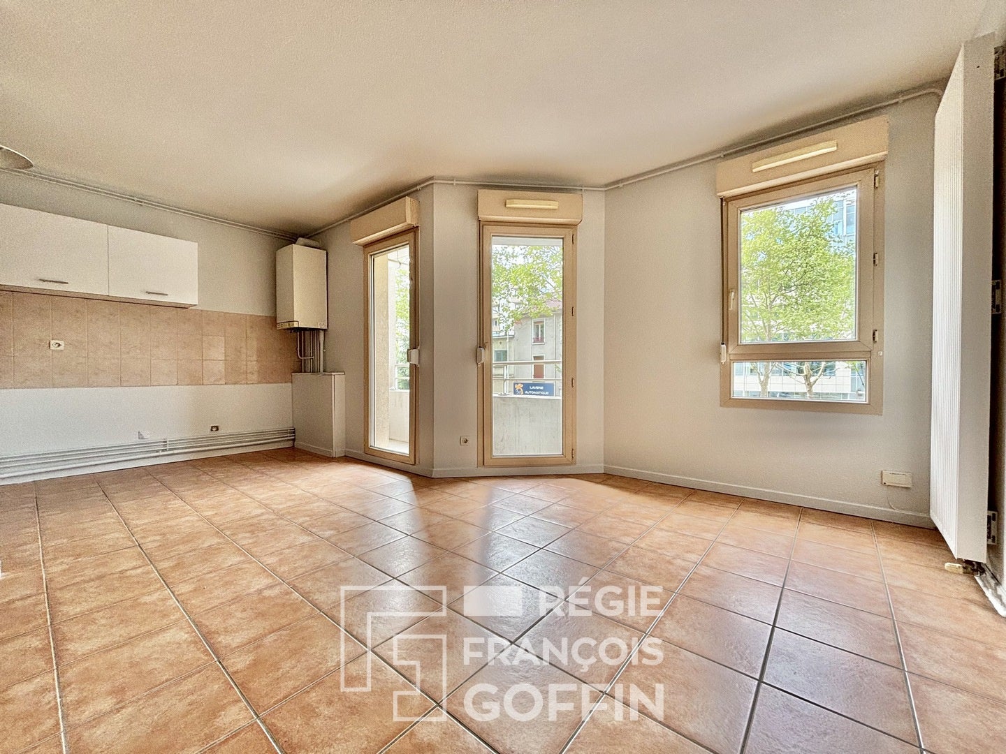 Appartement Cours Albert Thomas à Lyon