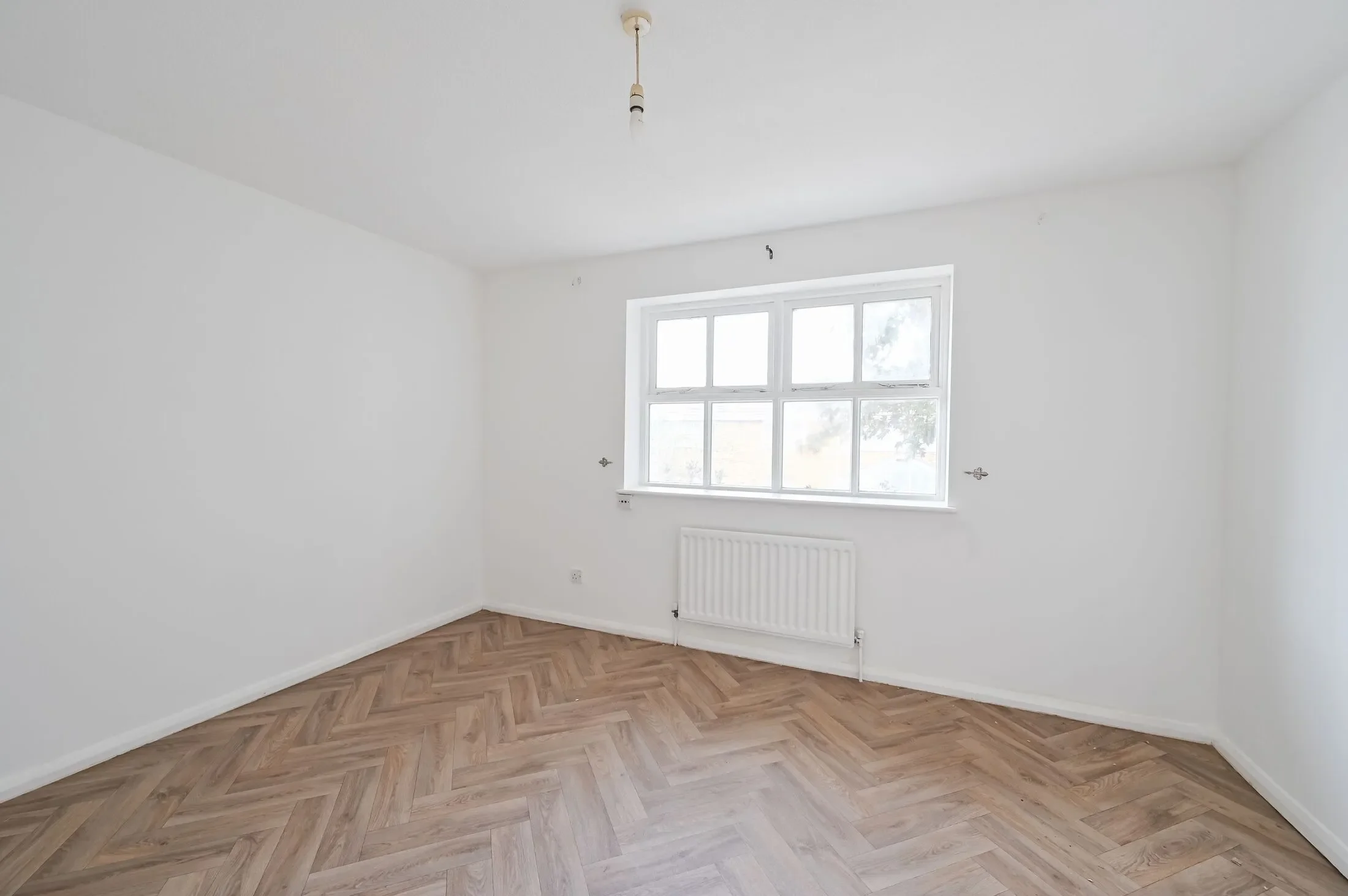 House Jake Russell Walk in Greater London