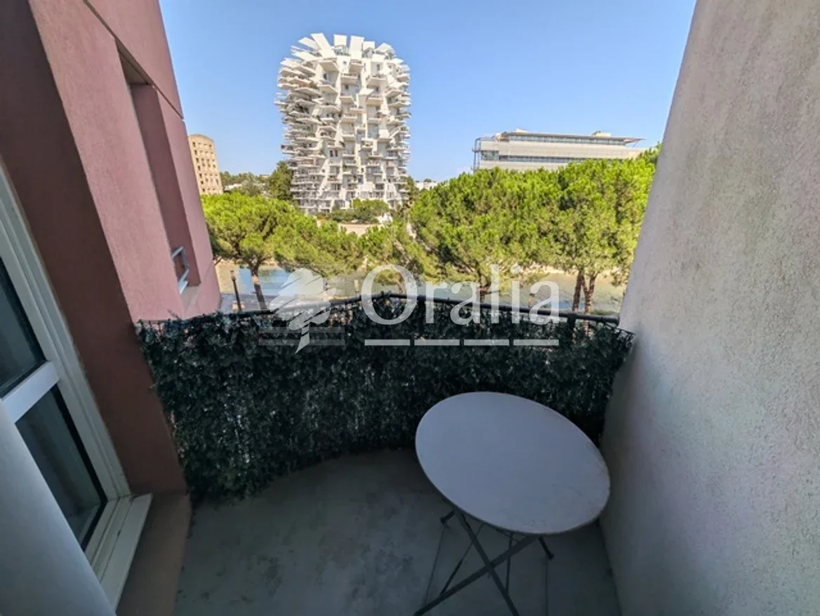Appartement Avenue du Pirée à Montpellier