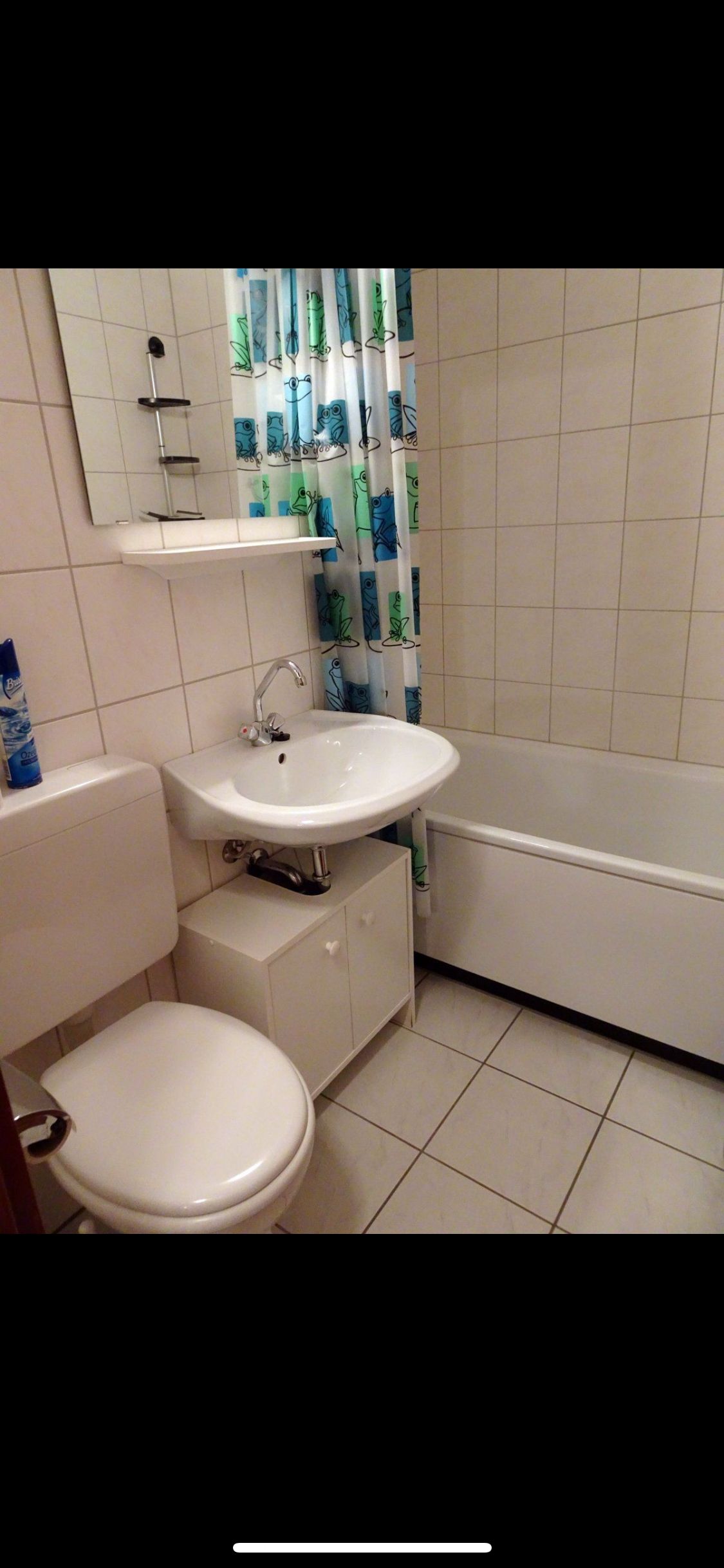 Wohnung Frankfurter Straße in Wiederstein