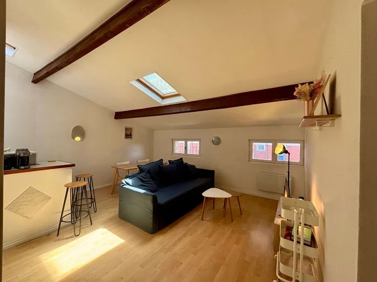 Flat Rue Jean Chaptal in Toulouse