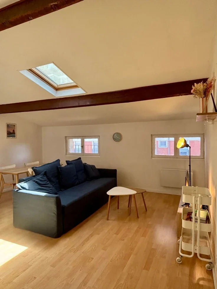 Flat Rue Jean Chaptal in Toulouse