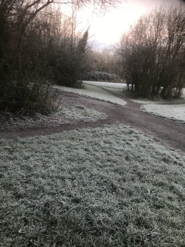 House Fescue Place in Cardiff