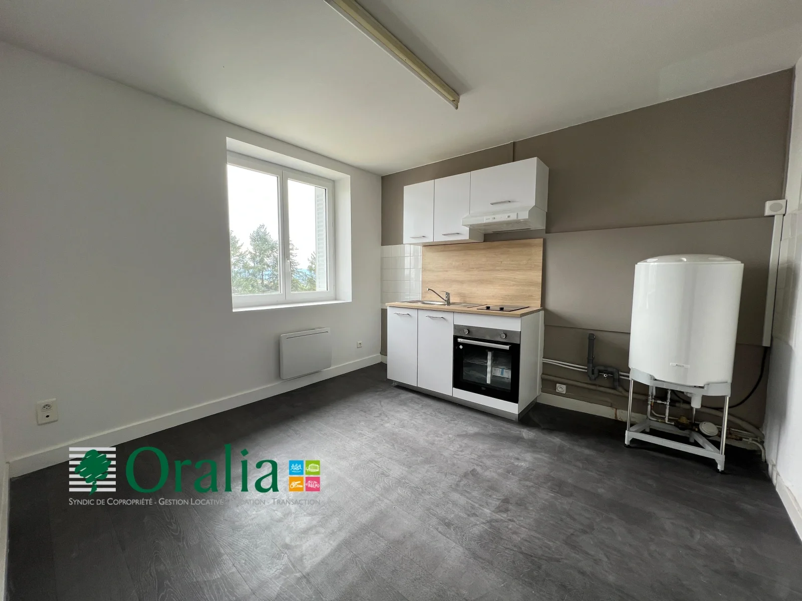 Appartement Rue Professeur Antoine Guerpillon à Panissières