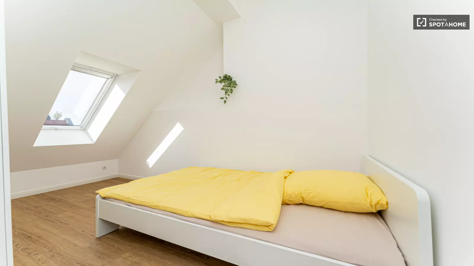 Zimmer Reginhardstraße in Berlin