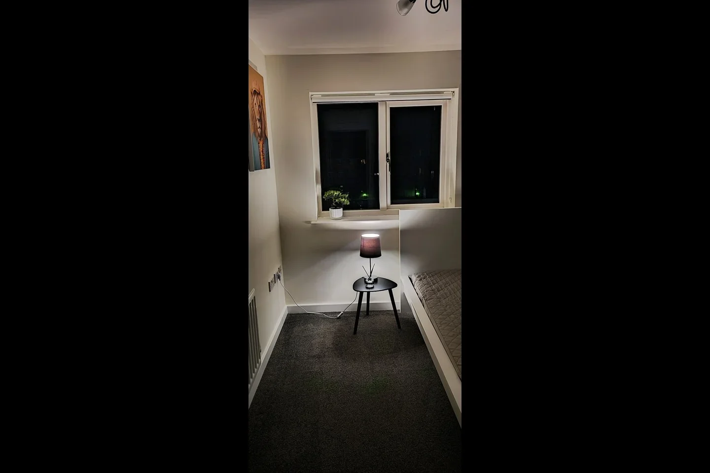 Room Millward Drive in Milton Keynes