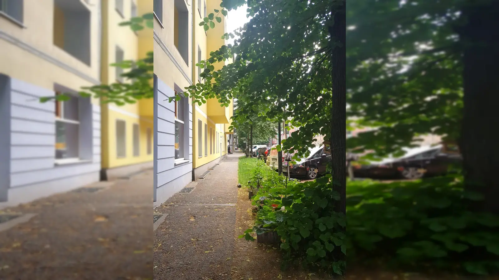 Wohnung Hedwigstraße in Berlin