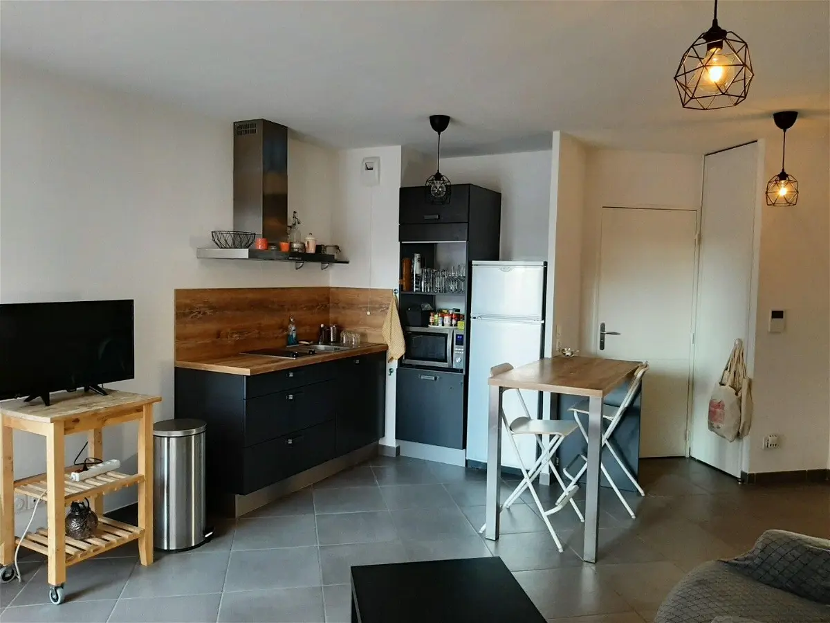 Appartement Avenue Camille Rousset à Bron