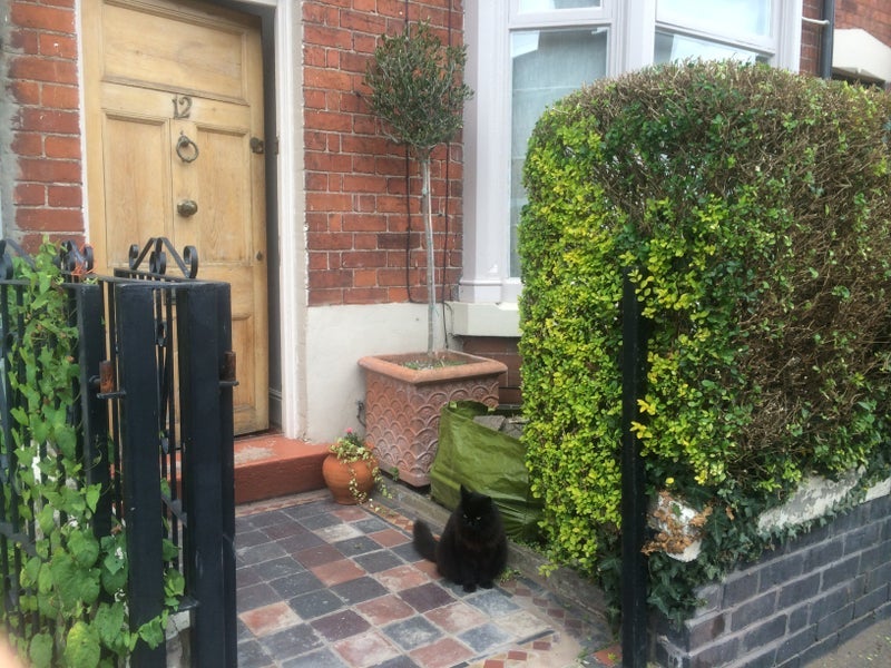 House Ingestre Road in Stafford
