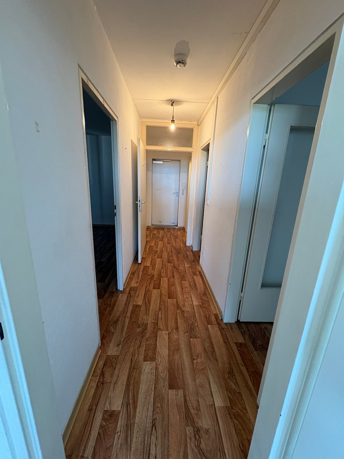 Wohnung Hainholzer Damm in Elmshorn