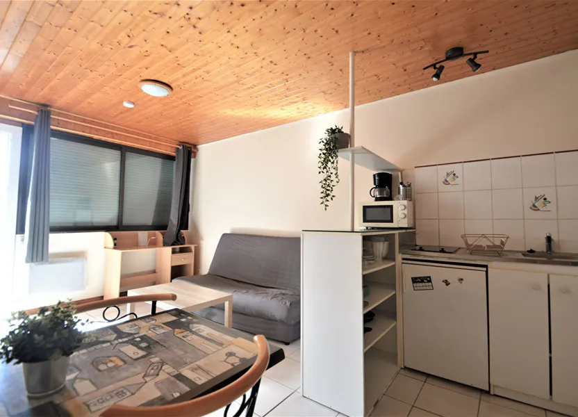 Appartement Rue du Sergent Bernès-Cambot à Pau