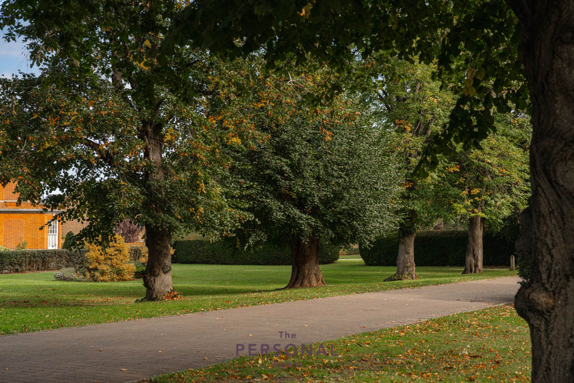 Flat Redwood Drive in Epsom and Ewell
