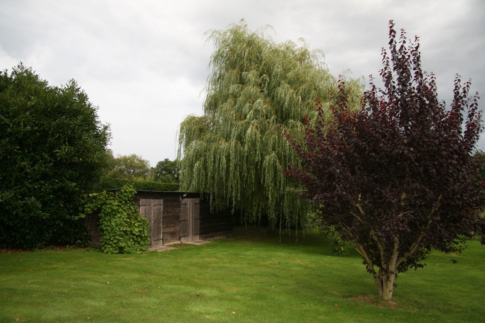 House Rue Saint-Jean in Gournay-en-Bray