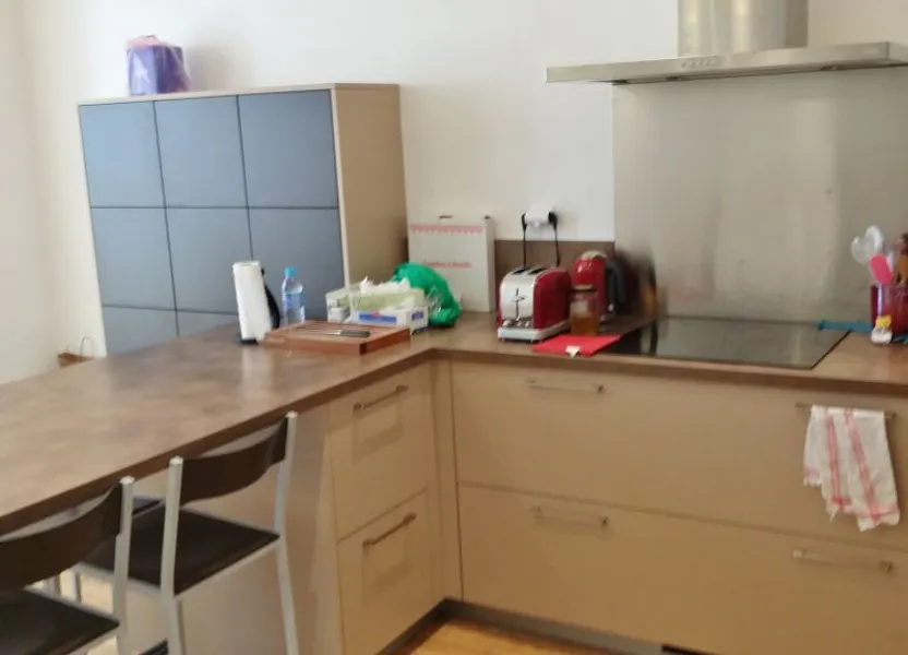 Flat Rue Malcousinat in Toulouse