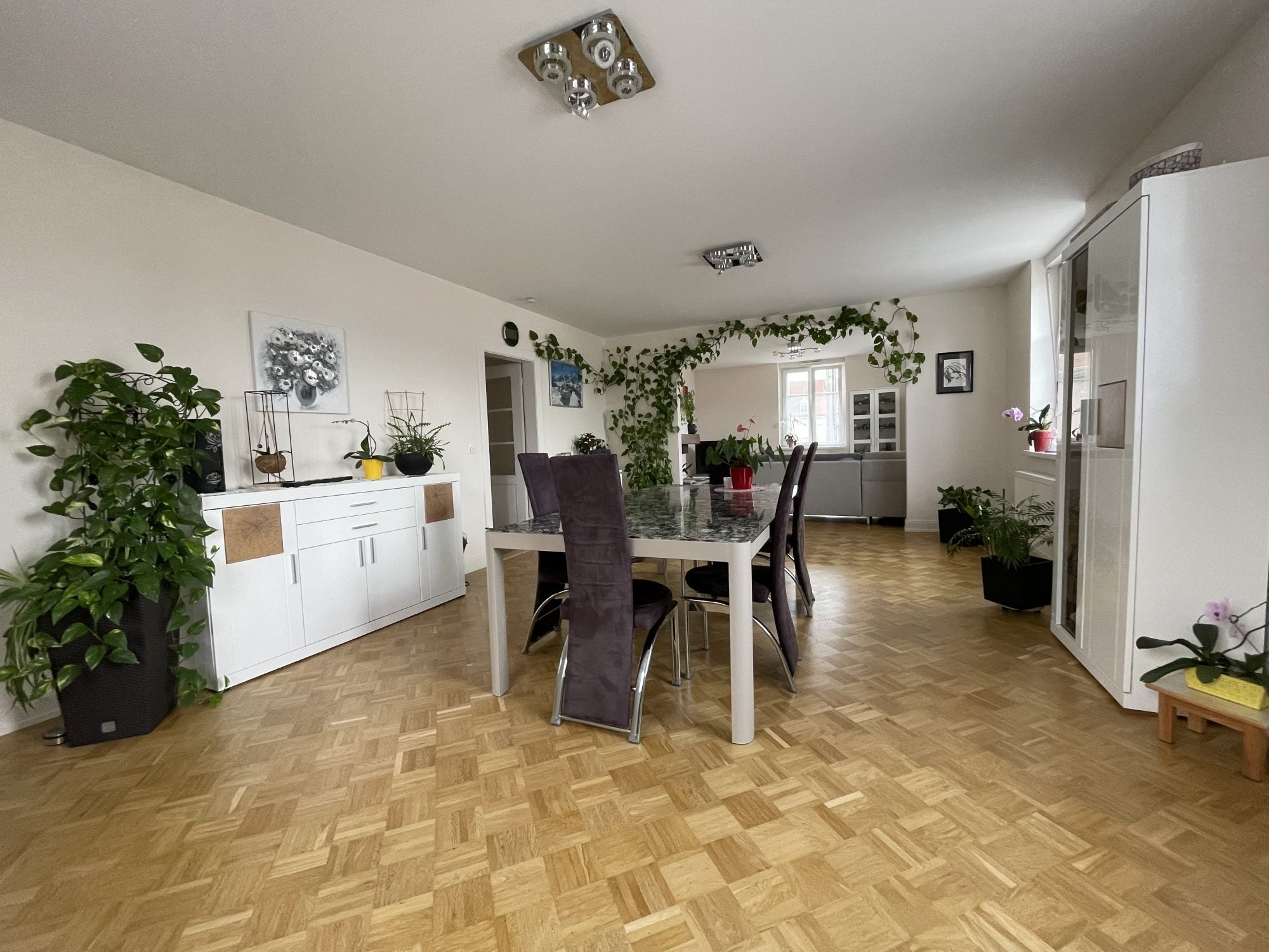 Appartement Hochaloch à Bartenheim