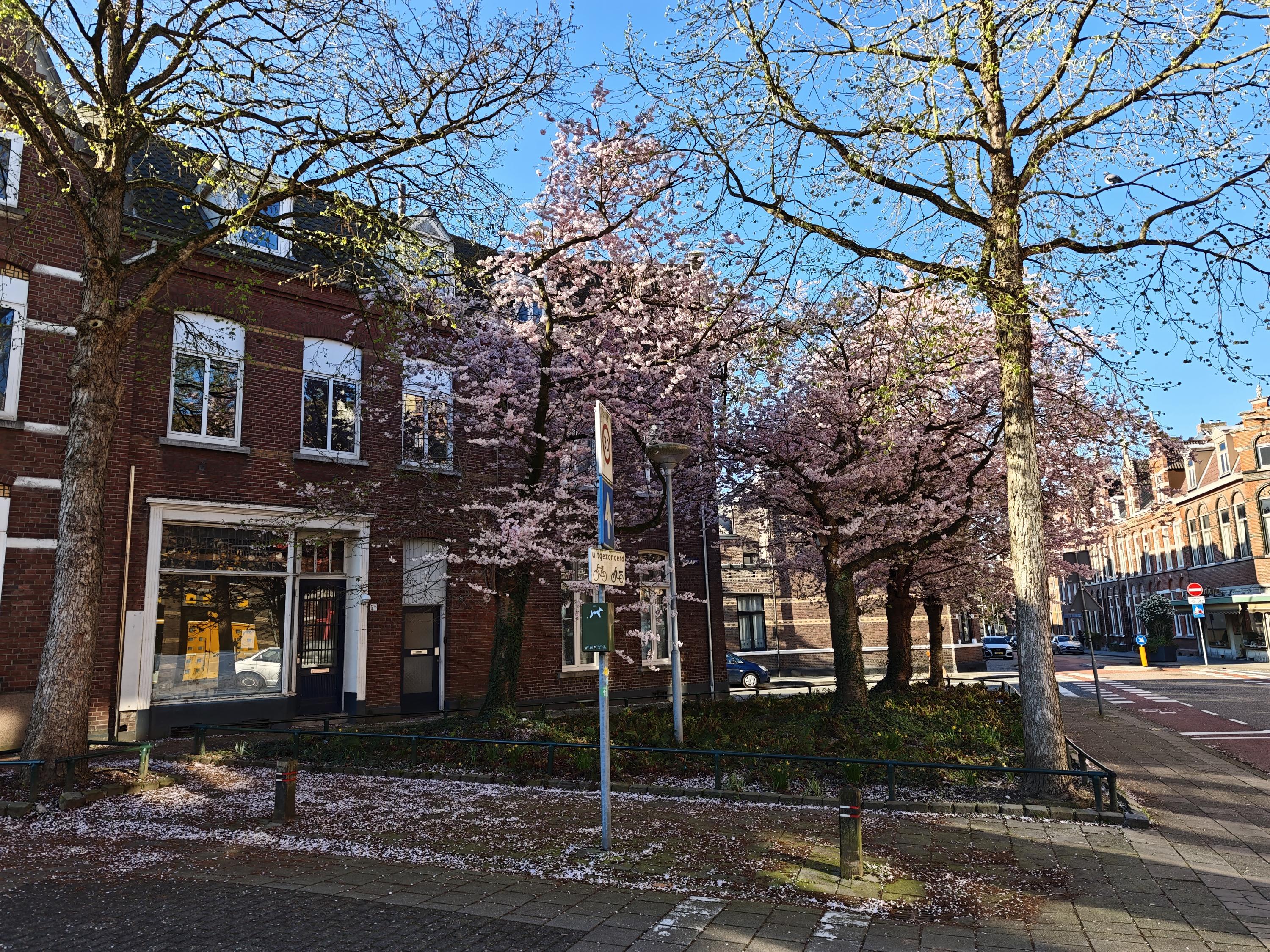 Appartement Herungerstraat 2 in Venlo