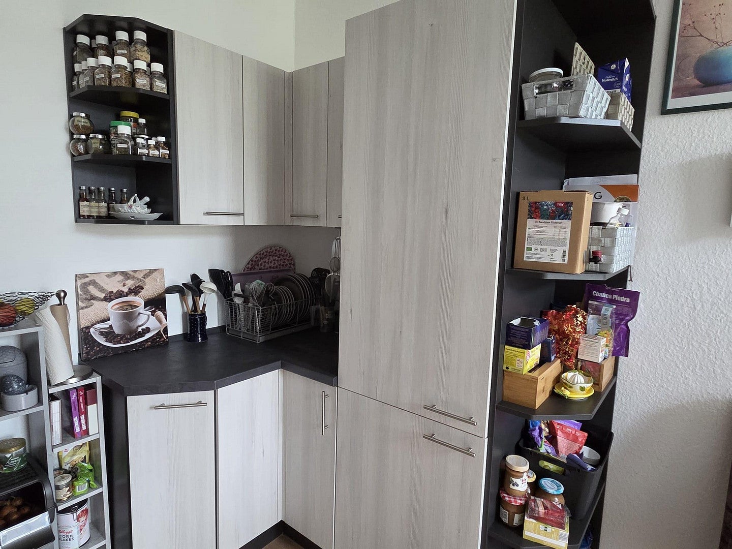 Wohnung Werderstraße in Dessau