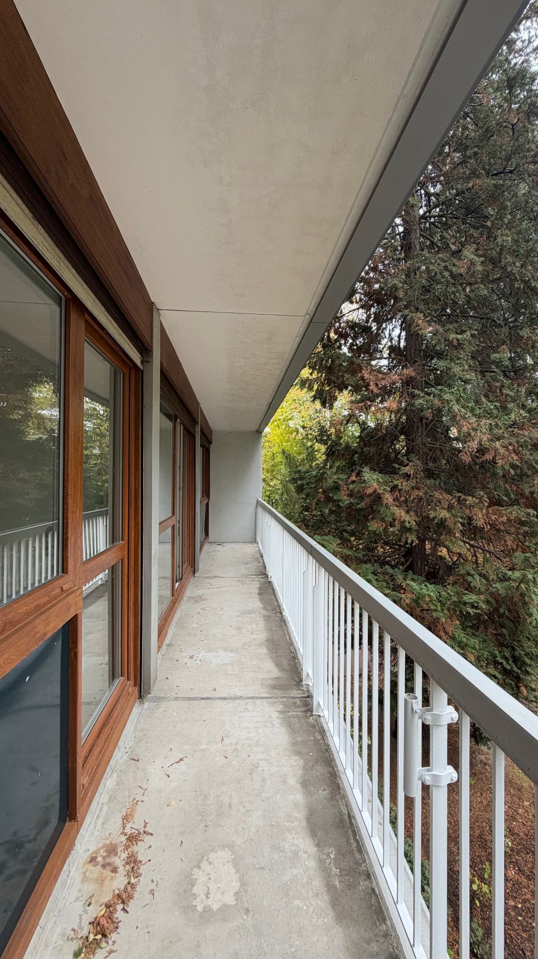 Flat Rue Albert de Mun in Meudon