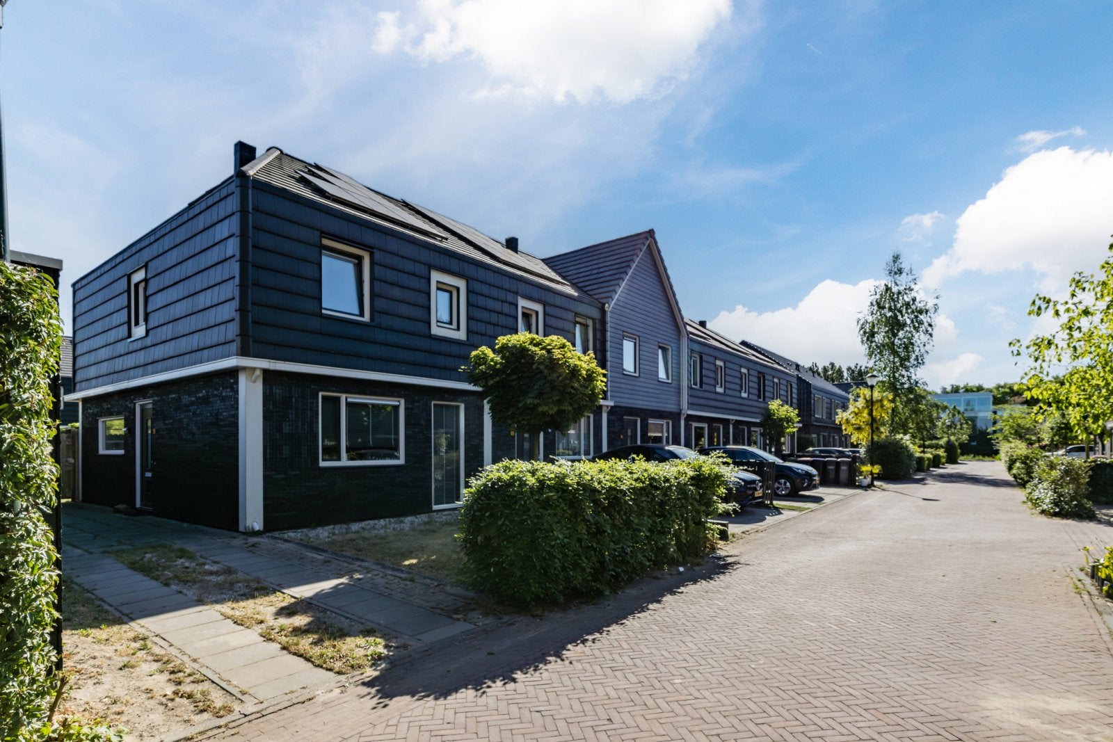Rokebrandlaan