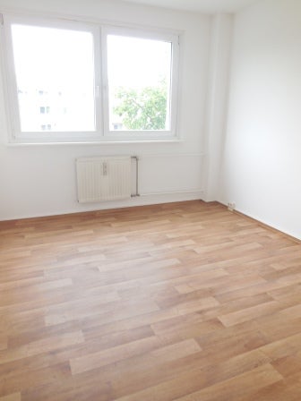 Wohnung Schützenstraße in Dessau