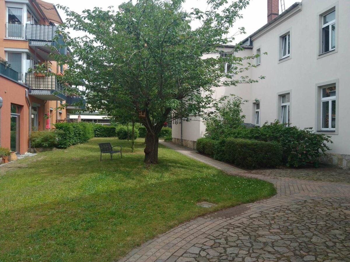 Wohnung Sidonienstraße in Radebeul