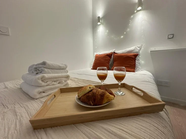 Flat Rue Olivier de Serres in Paris
