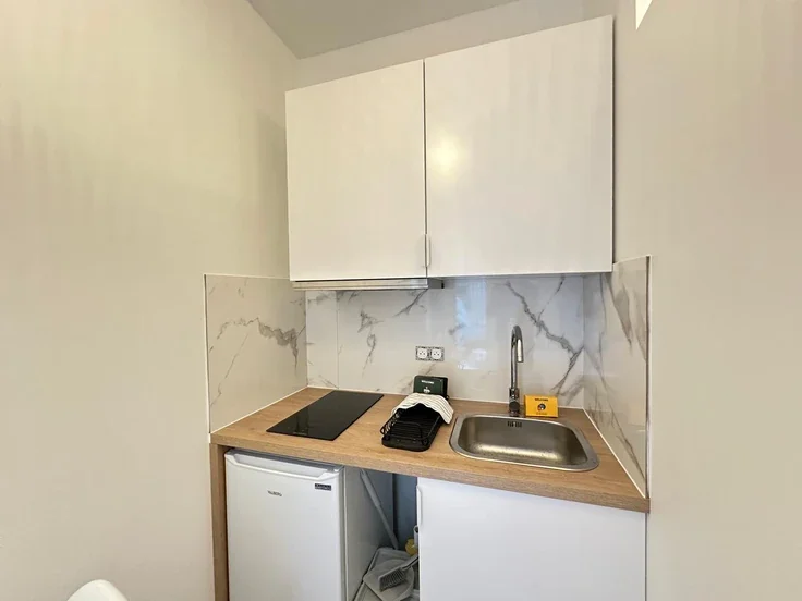 Flat Rue Olivier de Serres in Paris
