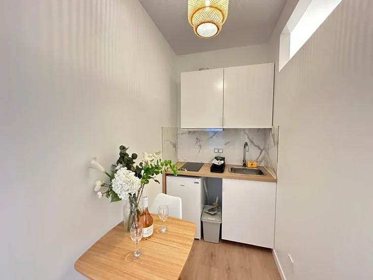 Flat Rue Olivier de Serres in Paris