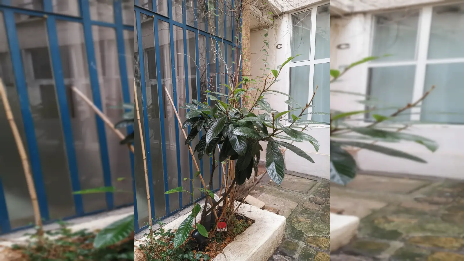 Appartement Boulevard Beaumarchais à Paris