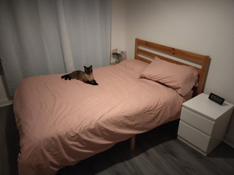 Room Carmyle Avenue in Glasgow