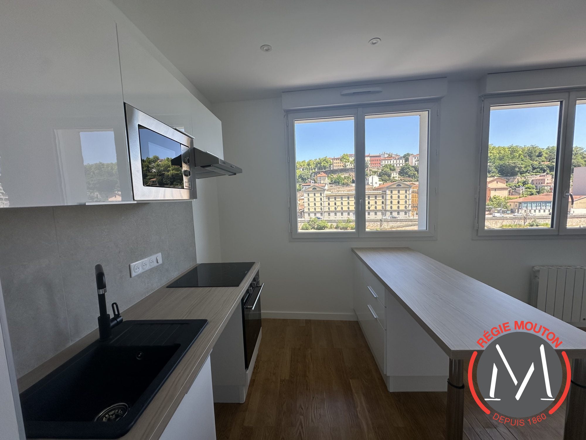 Appartement Quai Pierre Scize à Lyon