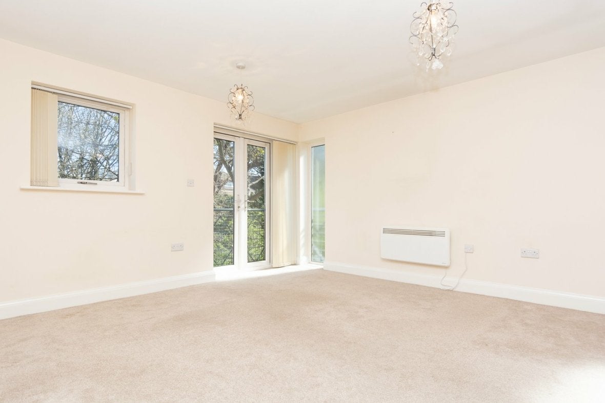 Flat Birch Copse in St Albans