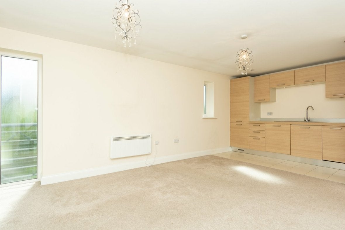 Flat Birch Copse in St Albans