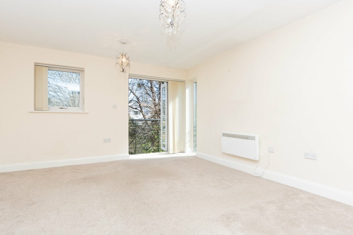 Flat Birch Copse in St Albans