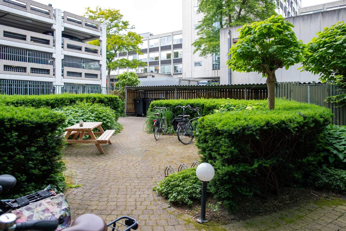 Kamer aan de Hellingen in Dordrecht