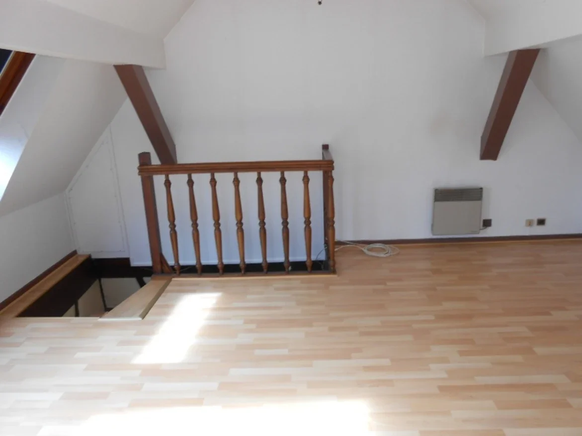 Flat Rue des Tisserands in Colmar