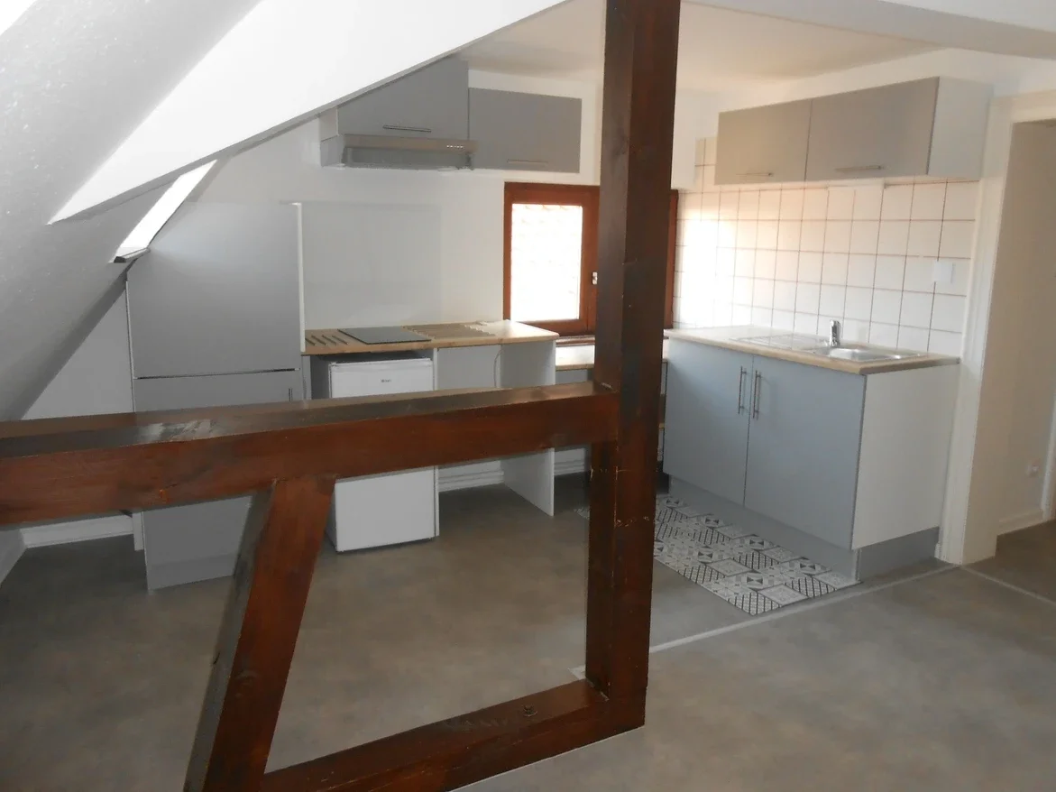 Flat Rue des Tisserands in Colmar