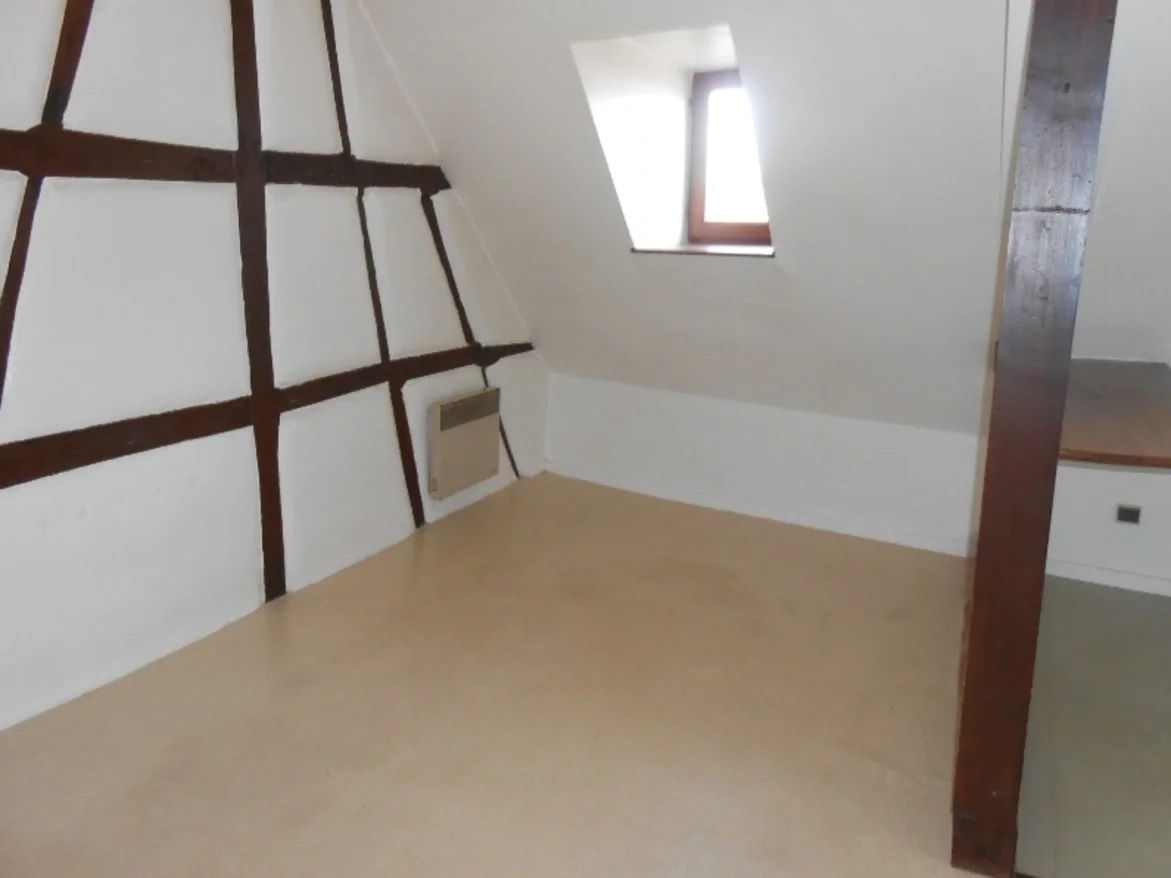 Flat Rue des Tisserands in Colmar