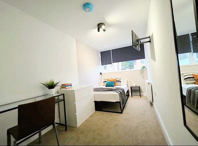 Room The Park in Bristol