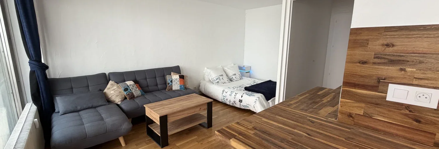 Appartement Rue des Bergers à Grenoble