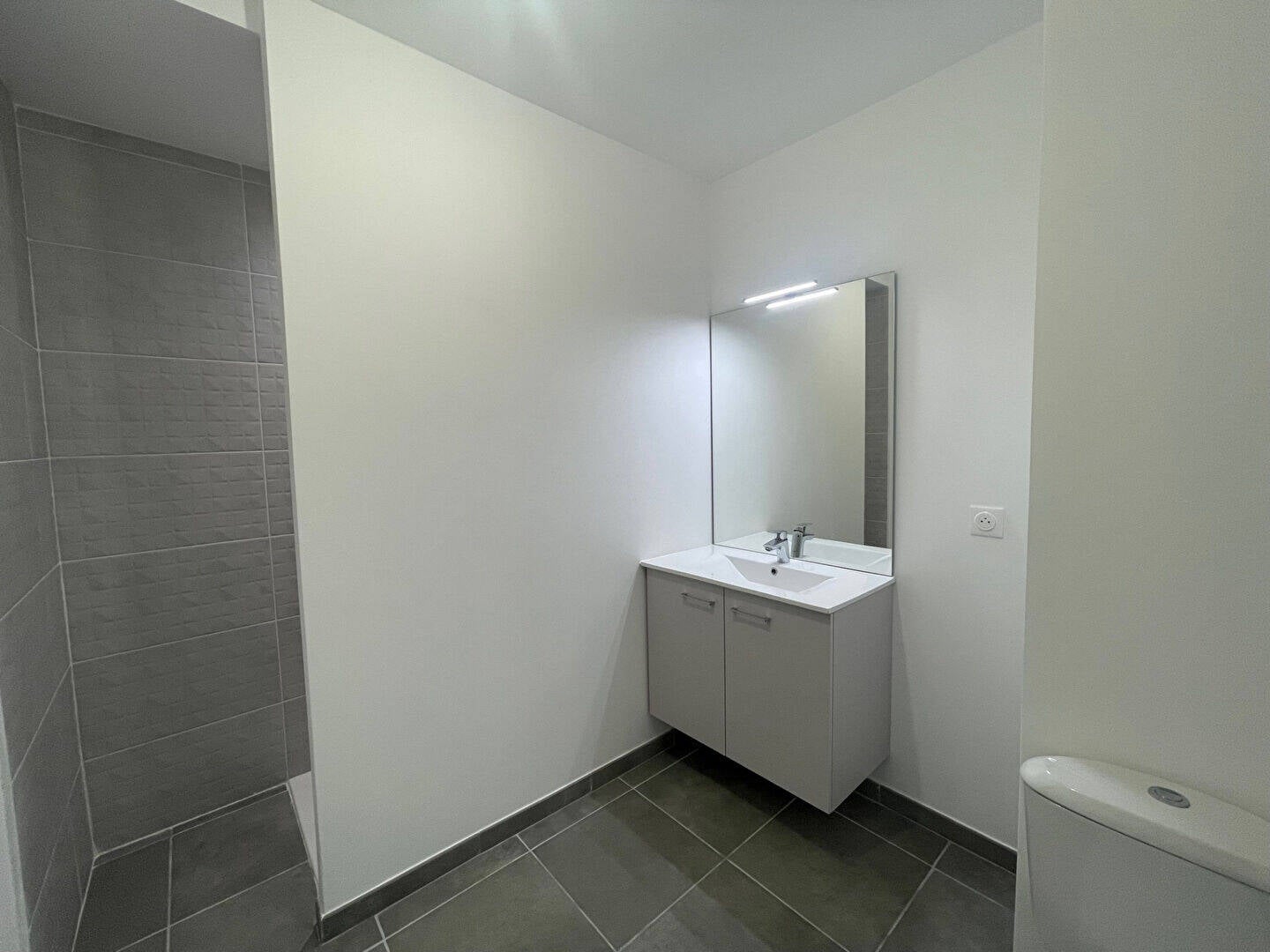 Appartement Rue Geoffray à Villeurbanne